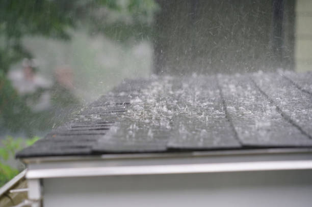 Best Roof Moss and Algae Removal  in Albion, PA