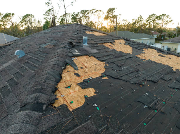 Reliable Albion, PA Roofing Service Solutions